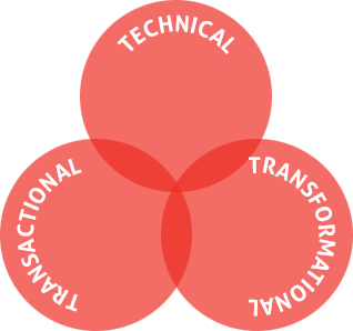 Project Management - Technical - Transactional - Transformational